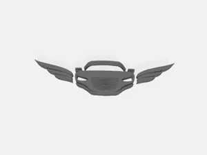 Flying Car