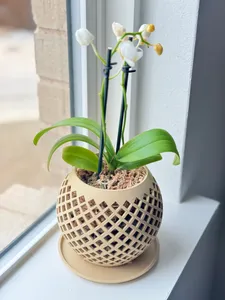 Orchid basket, round