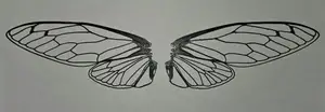 Realistic cicada wings