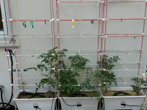 Adjustable Tomato Plant Support-Trellis