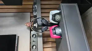 PS Double Dual Sense Controllers & Pulse 3D Headphone Stand