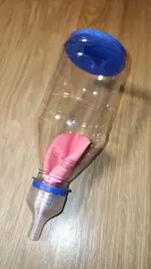 Lungs&Diaphragm educational toy