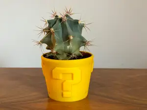 Super Mario Cactus pot