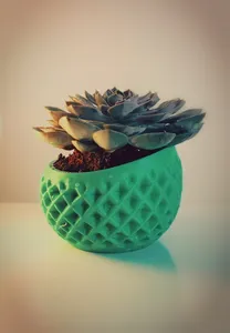 Curvie VASA