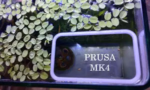 Feeding ring - rectangle - fish and shrimps - glow in the dark - aquarium Cube