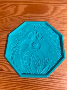 Sheltie Coaster
