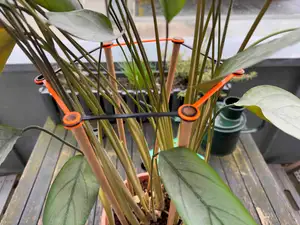 Modular Plant Support / Pflanzenhalter
