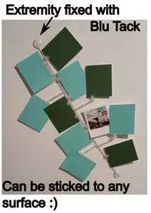 Leafs of life : customable polaroid pictures holder