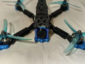 protection camera FPV