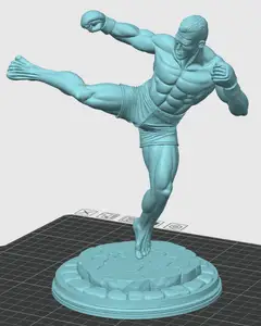 Kickboxer fighter