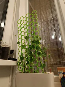 Honeycomb plant support wide 208x219 mm