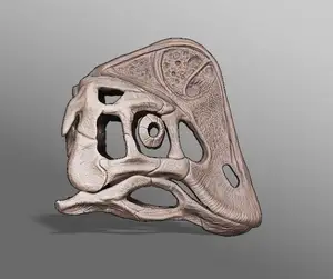 Replica Anzu Skull