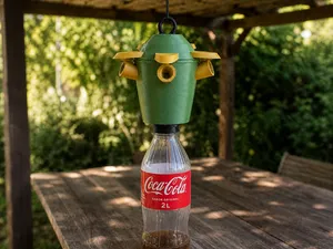 SOLARIS — Lotus Wasp Trap for Coca-Cola PCO 1881 Bottles
