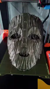 the mask