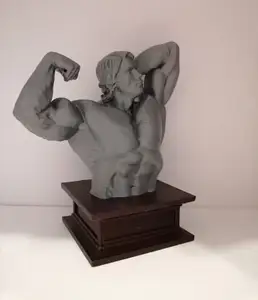 Arnold Schwarzenegger - Busta