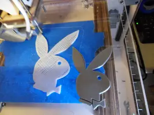 Playboy bunny