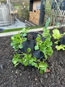 growtower, planttower, grow tower, plant tower