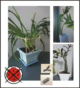 Support for the flower. SSP.