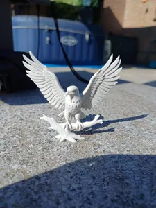 Majestic American Eagle