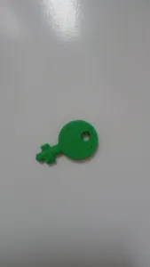 Paper towel dispenser key (Fripa)
