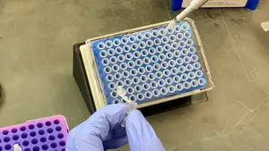 Plate Stand for PCR & Cell Culture