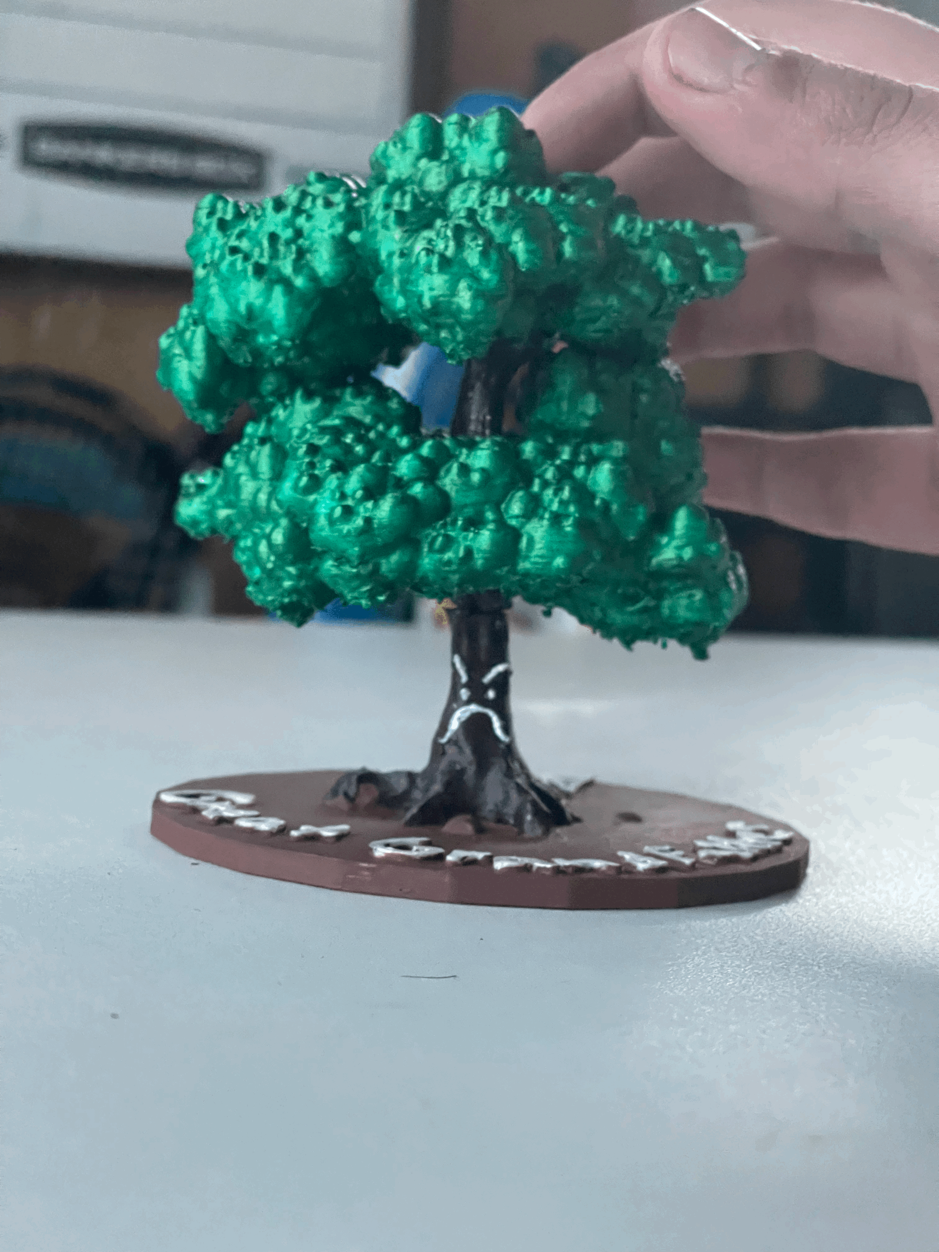 Great Grandfather Oak Tree