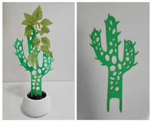 Support for plants. Plant Trellis. Cactus.