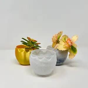 Vase Mode Cracked Easter Egg Planter