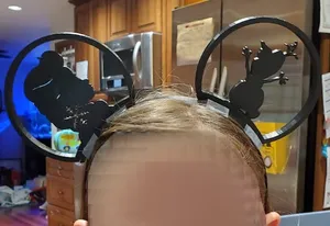 Interchangeable Mickey Ears