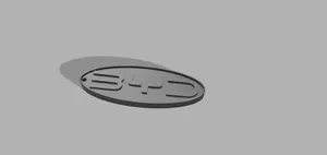 BYD Keychain