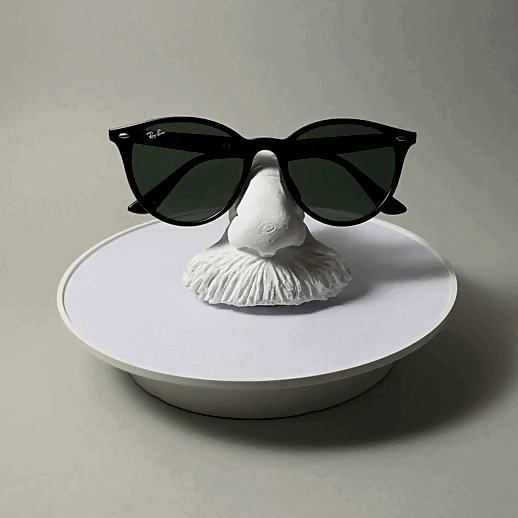 Sunglass Bracket Holder Albert Einstein | Table Stand | Wall Mount