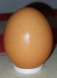 Minimalistic Small Egg Stand for Easter Egg Decoration and Painting