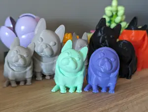 Josy the French Bulldog