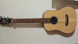 Acoustic Guitar Cort Earth Mini Soundhole Cover 3/4 size mini dreadnought body