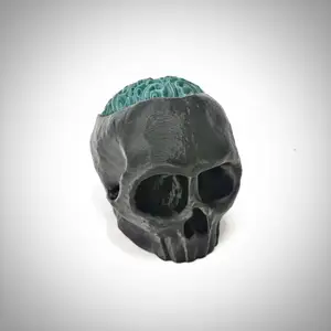 Skull with Brain - Candy Hiding Place
