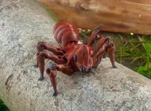Flexi Ant