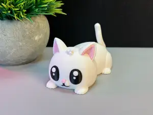 Cute Cat