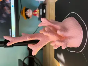 Coral - Home Decor
