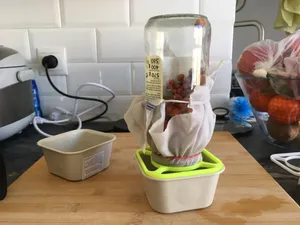 IKEA NOJIG Sprout Jar drainer