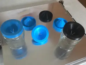 Fruit Fly Trap (Customizable)