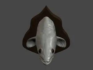 Zander head trophy wallmount