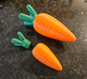 Carrot Container