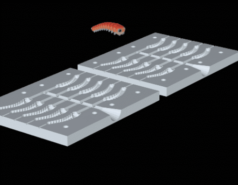 Maggot / worm fishing mold / form