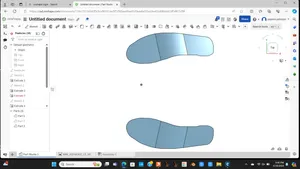 Shoe insole