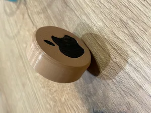 in-ear buds headphone case box