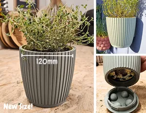 Wall Planter 1.4 (Large)