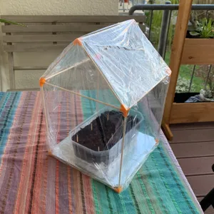 Mini Gewächshaus / Mini Greenhouse