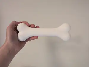 Simple Cartoon Bone