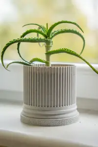 Watter drip plate for Greek column pot