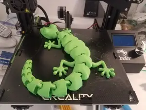 Curled Articulated Lizard